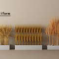 Poliform Golden Wheat Stalk Arrangements On White Decorative Bases For Modern Interior