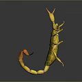 Yellow And Green Scorpion With Spread Legs On Dark Shiny Background