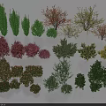 Different Types of Colorful Shrubs for Garden Landscaping and Ornamental Greenery