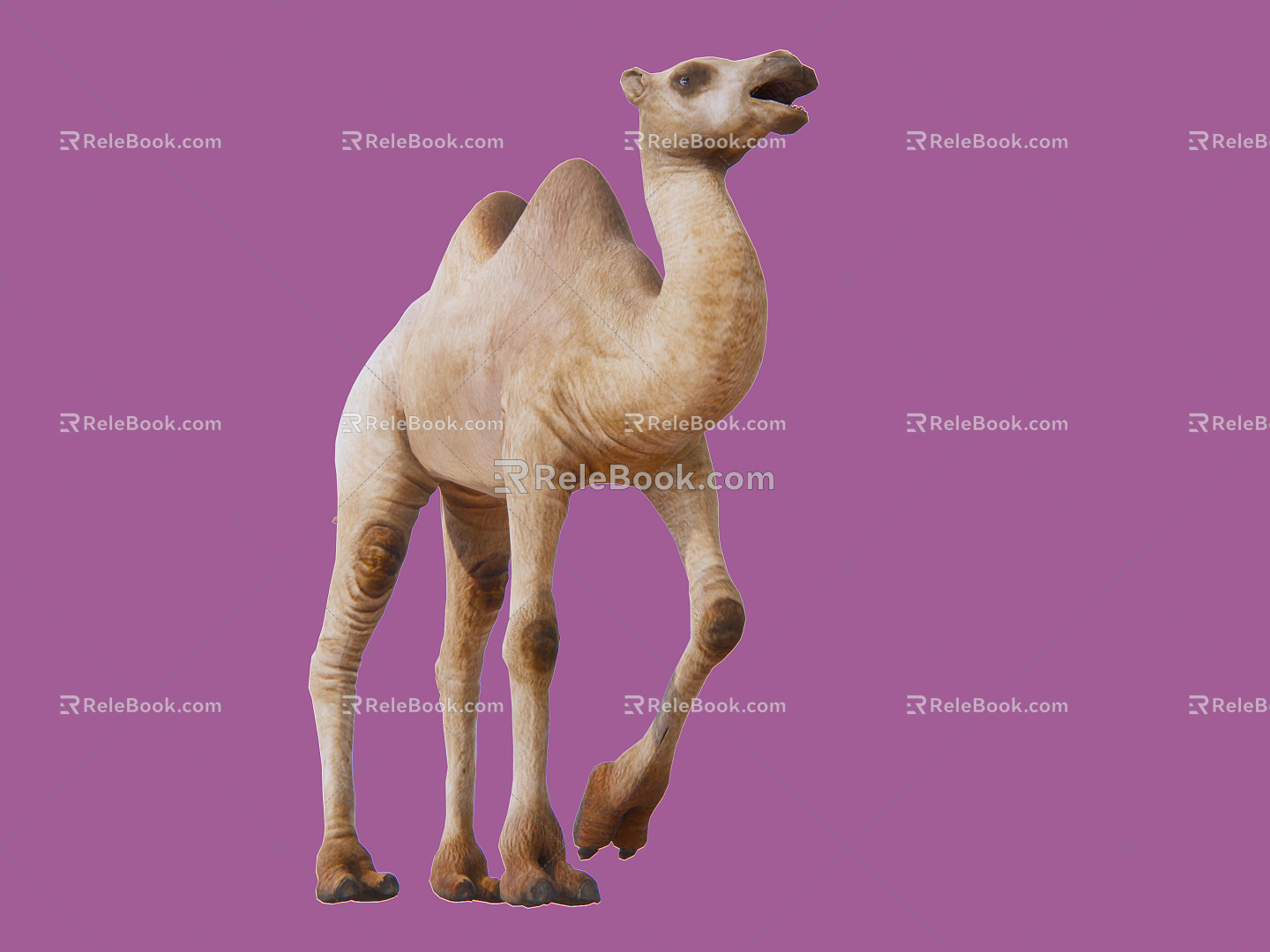 The Modern Camel 3d model