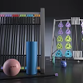 Colorful Dumbbells Yoga Ball And Foam Roller On Sports Equipment Storage Rack
