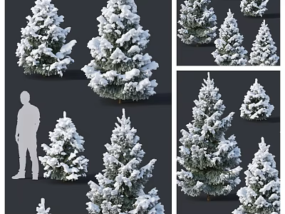 Multiple Snow Covered Trees In Different Sizes With Human Silhouette For Scale 3d model