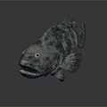Realistic Gray Fish Sculpture With Detailed Texture On Dark Reflective Surface