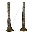 Wooden Logs with Stone Bases Natural Bark Texture and Moss Covered Paired Decorative Elements