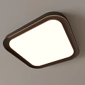 Modern Irregular Shape Ceiling Light With Dark Frame And White Light Panel 3d model