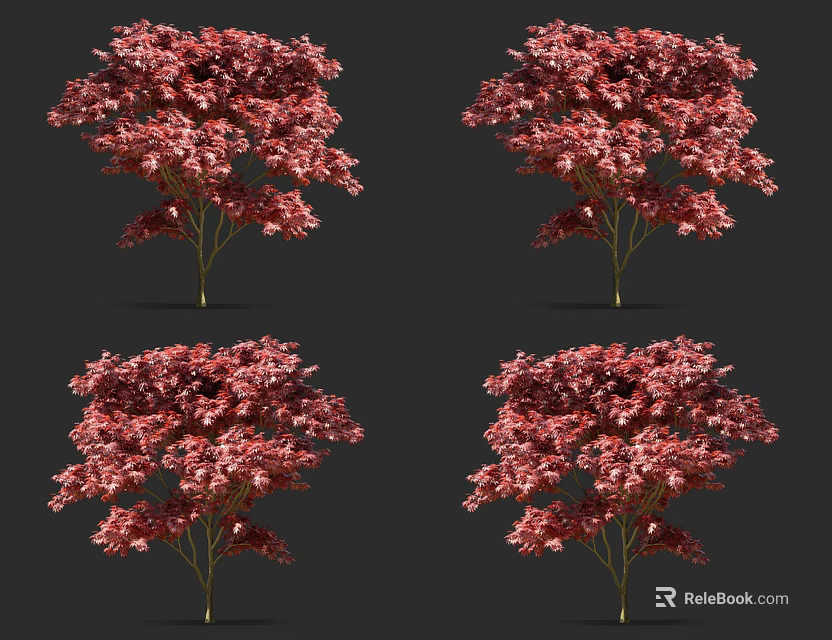 Beautiful Red Flowering Trees With Vibrant Blossoms In Multiple Views 3d model