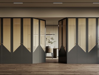 Folding door screen partition 3d model