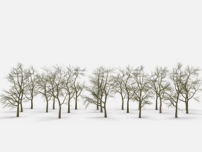 Wooden Tree Trunks With Bare Branches Neatly Arranged Against White Background 3d model