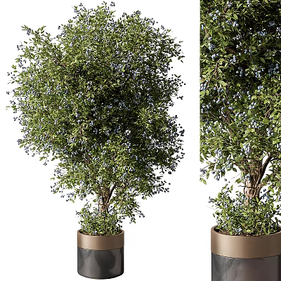 Potted Bonsai Tree With Lush Green Leaves And Blue Fruits In Metal Planter 3d model