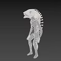 Aquatic Animal 3D Model Featuring White Head Sharp Teeth And Black Body