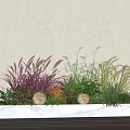 Plant Combination with Purple Grass White Flowers Green Grass Cacti Globe Lights on Marble Countertop