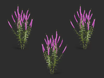 Vibrant Purple Flowers with Green Stems and Leaves in Three Clusters on Black Background 3d model