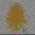 Yellow Leaf Arbor With Square Pavement Circular Green Area And Standing Person