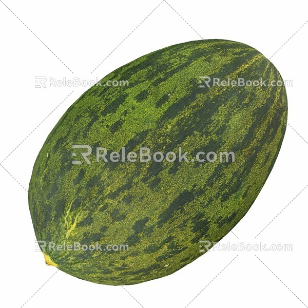 Watermelon fruit 3d model