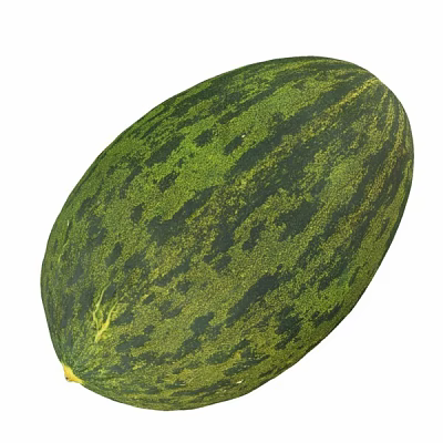 Fresh Ripe Whole Watermelon with Green Dark Striped Rind for Healthy Summer Snacks 3d model