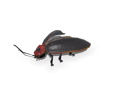 Detailed Reptile Figure With Red Head Black Body And Wings In 3D Rendering 3d model
