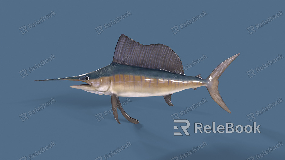 Modern Sailfish model