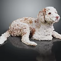 White And Brown Curly Haired Dog Lying On Shiny Black Reflective Surface