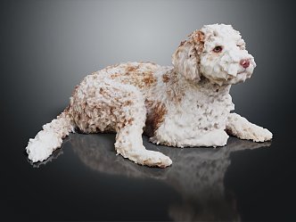 Modern Dog Pet Dog Pet 3d model