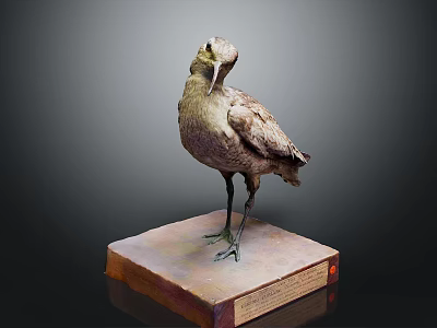 Earth Toned Bird Sculpture Displaying Bowed Neck And Long Beak On Square Pedestal 3d model