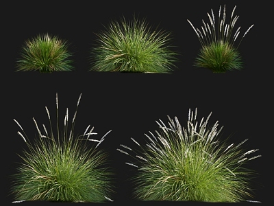 grass thatched grass plant green plant flowers 3d model