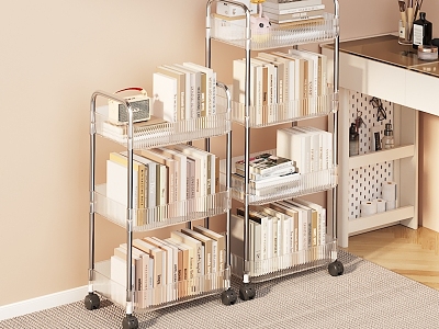 Transparent Storage Rack model