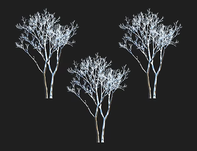 Three Leafless Trees Silhouette Isolated on Black Background 3d model