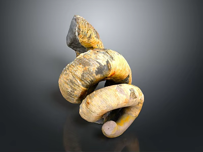 Natural Textured Root Vegetables Stacked Together For Daily Kitchen Use 3d model