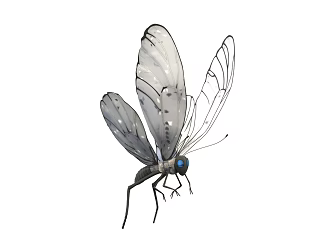 Modern Butterfly 3d model