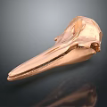 3D Printed Copper Colored Anatomical Medical Device for Medical Education and Surgical Planning