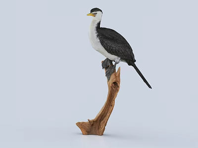 Flight Animal Bird Model Perched on Wooden Stump with Light Colored Background 3d model