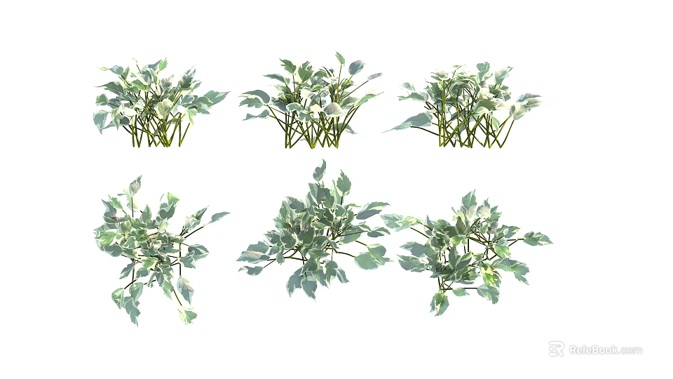 Various Green Leafy Decorative Shrubs with Lush Foliage for Gardens 3d model