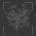 Beautiful White Flowers With Fresh Green Leaves Against Black Background For Decorative Use