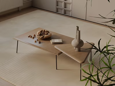 Modern Sofa and Coffee Table Set With Wooden Top Metal Legs Nut Bowl and Book 3d model