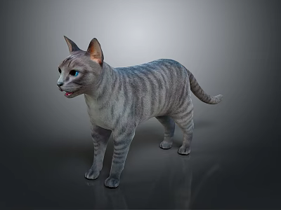 Realistic Grey Striped Cat With Blue Eyes Standing Against Grey Background 3d model
