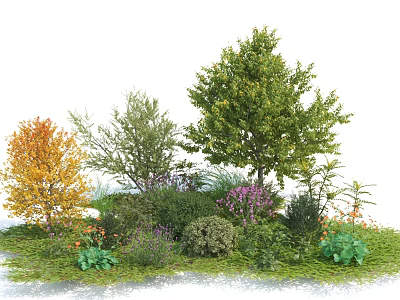 Diverse Garden Trees with Green and Yellow Foliage Shrubs Purple Flowers and Grass 3d model