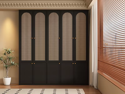 Middle style wardrobe 3d model