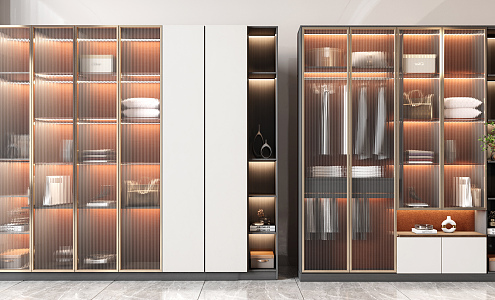 Modern wardrobe combination 3d model