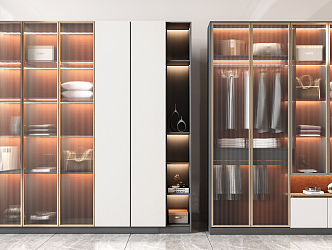 Modern wardrobe combination 3d model