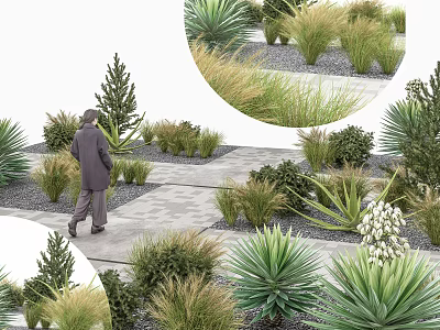 Scenic Garden Pathway With Person Walking Among Grasses Shrubs and Plants 3d model