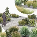 Scenic Garden Pathway With Person Walking Among Grasses Shrubs and Plants