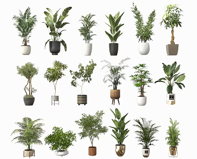 Diverse Indoor Potted Plants Collection With Various Green Foliage And Decorative Pots 3d model