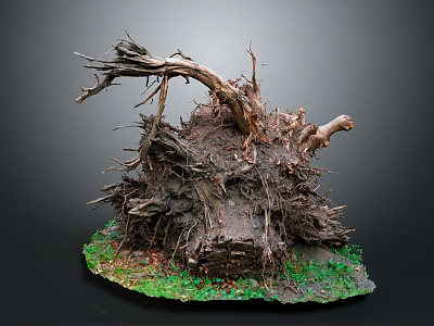 Artistic Tree Root Sculpture With Green Moss And Natural Base Structure 3d model