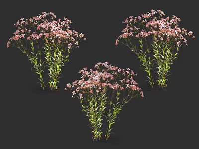 Beautiful Pink Flowers with Green Stems and Leaves Decorative Plant Arrangement on Dark Background 3d model
