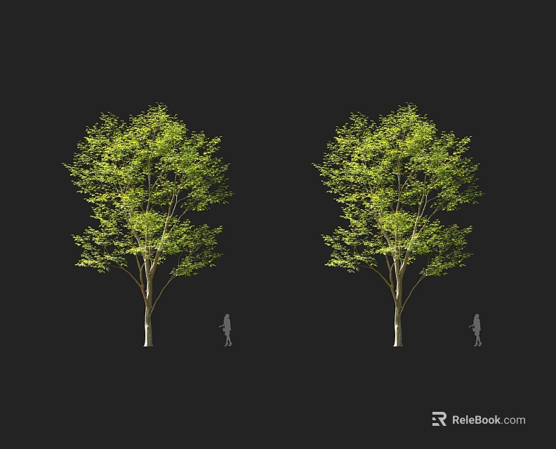 Tall Green Leafy Trees Featuring Brown Trunks and Human Silhouettes for Size Scale 3d model