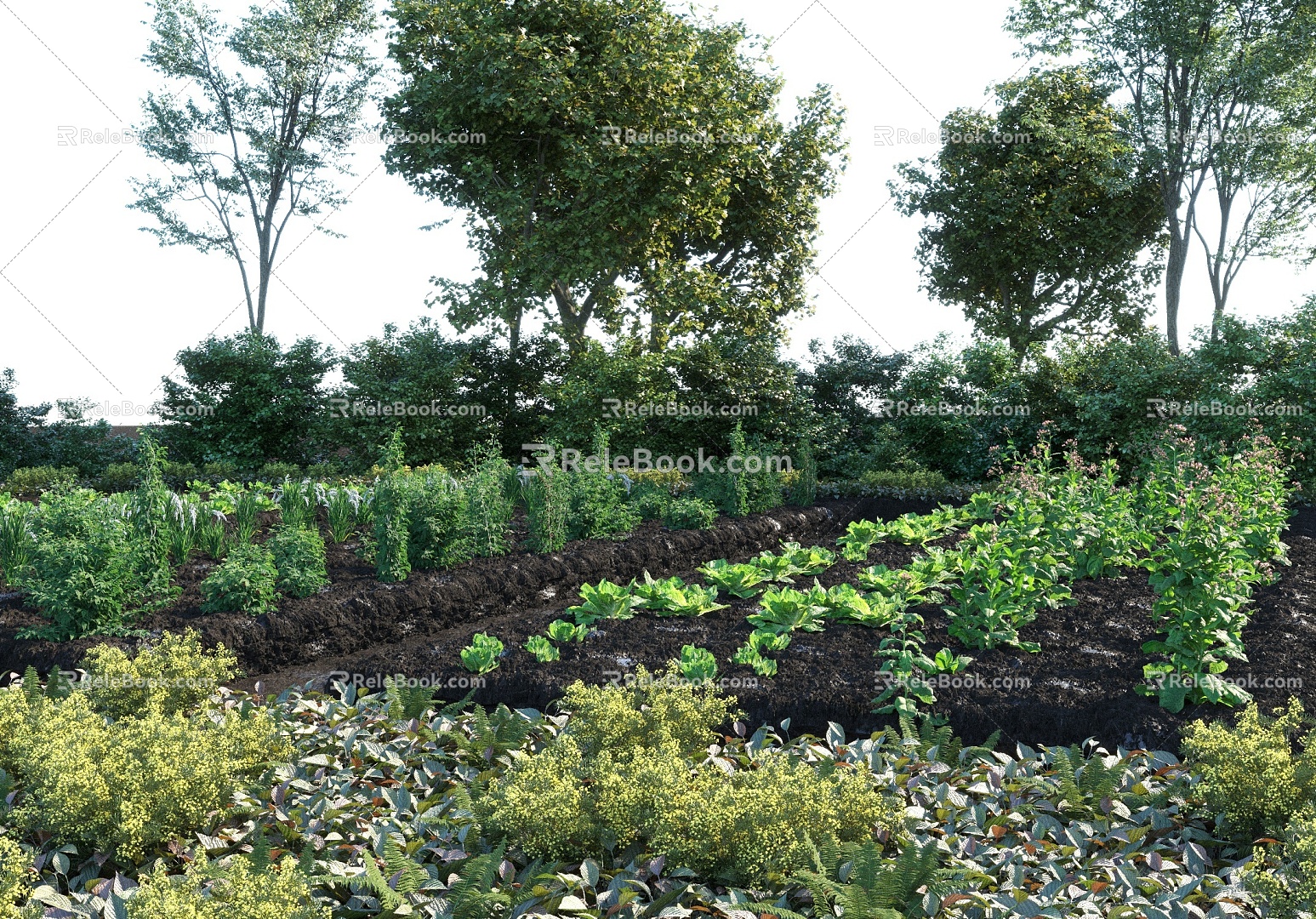 Modern Vegetable Garden Landscape Tree Vegetable Crops Green Vegetables Pepper Nongjiale 3d model