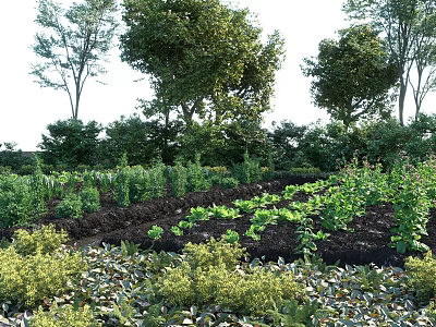 Rural Landscape With Lush Vegetable Garden Diverse Plants And Tall Trees In Planted Beds 3d model