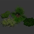 Lush Indoor Plants of Different Varieties in Metal Planters with Grey Background