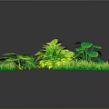 Lush Green Plant Scenery Components With Various Leaves Grass And Bushes