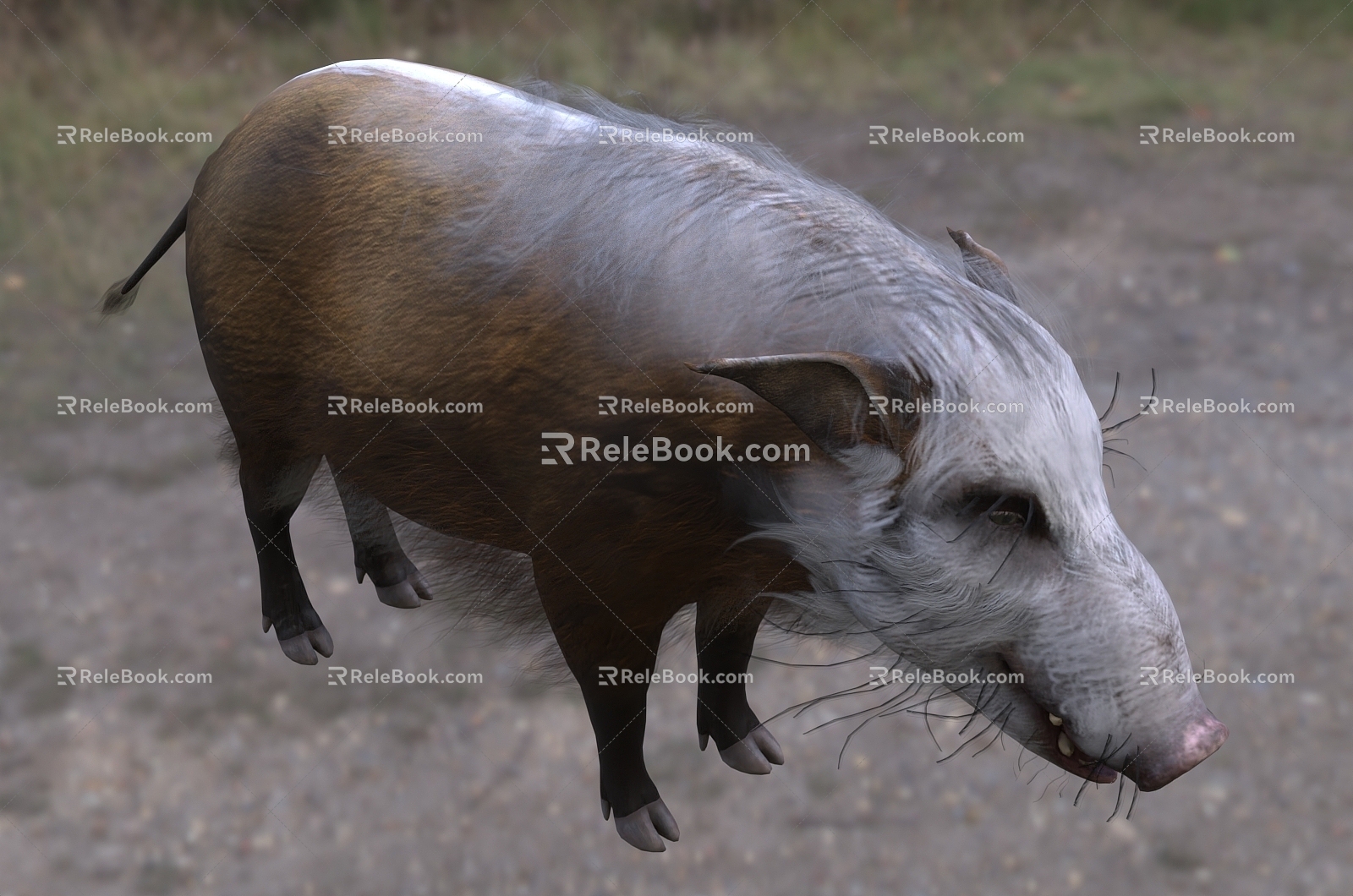 Modern African Scrub Wild Boar Wildlife Creatures 3d model